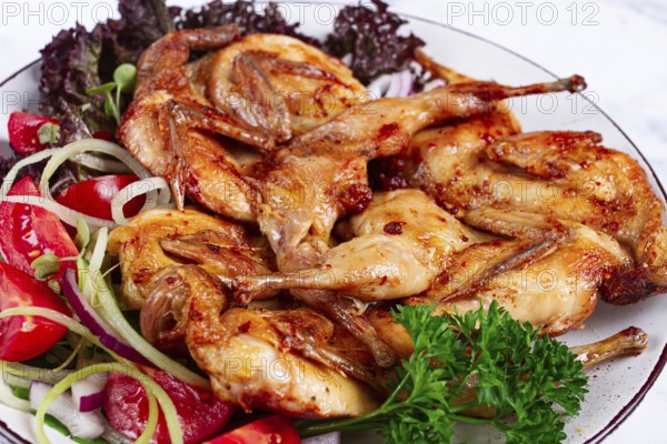 Baked quail, served on a plate with crispy lettuce leaves, fresh tomatoes and herbs, on a white