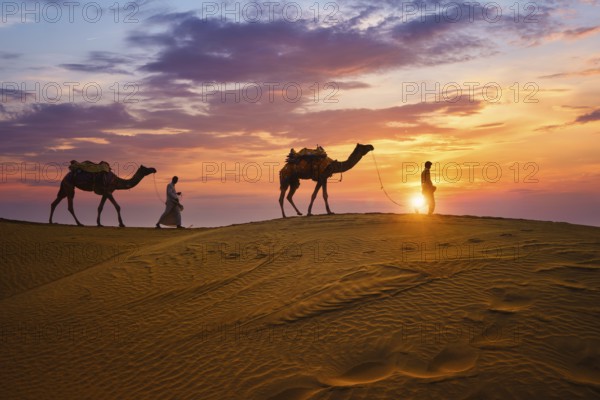 Indian cameleers camel drivers bedouin with camel silhouettes in sand dunes of Thar desert on