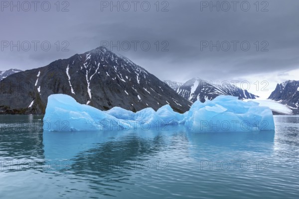Ice floes calved from Lilliehöökbreen glacier drifting in the Lilliehöökfjorden, fjord branch of