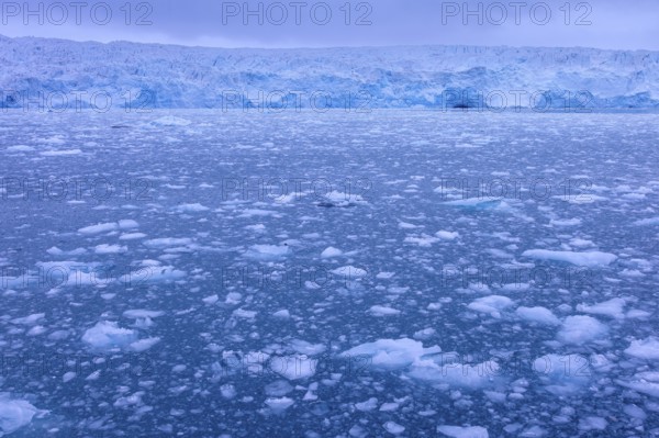 Calving Lilliehöökbreen glacier and resulting ice field in the Lilliehöök Fjord, Lilliehöökfjorden,