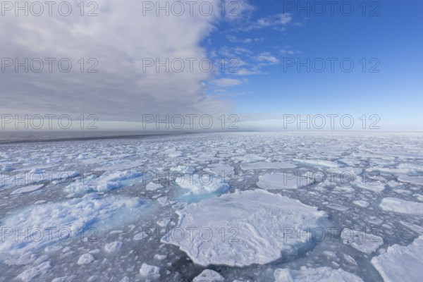 Drift ice / brash ice, floating field of sea ice composed of several ice floes in the Arctic Ocean