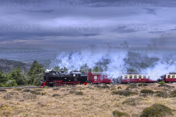 1950s steam train 99236 Neubaulokomotive / Neubaulok riding the Brocken Narrow Gauge railway line