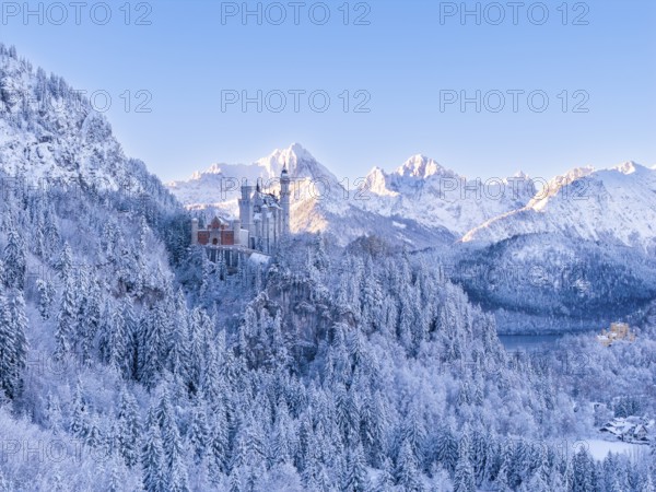 Impressive winter image of Neuschwanstein Castle surrounded by snow-covered mountains and trees.