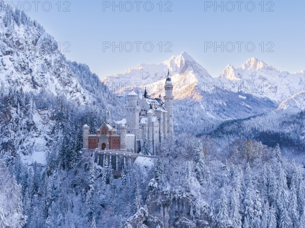Neuschwanstein Castle in winter, surrounded by snow-covered trees and picturesque mountains.