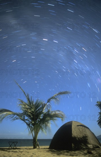 Long exposure, palm tree, tent, beach, starry sky at Kande Beach on Lake Malawi, Malawi, Africa,