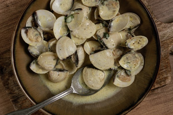 Vongole clams, in cream sauce, homemade, top view, no people