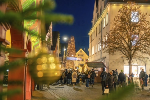 View of an illuminated Christmas tree through blurred pine branches at a Christmas market,