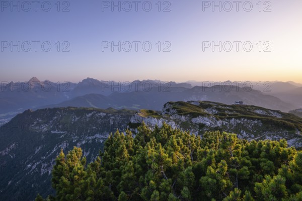 On the Berchtesgaden High Throne in summer at sunset, mountain pine and view of the StÃ¶rhaus on