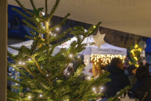 Fairy lights on a Christmas tree with a blurred Christmas market in the background, Aidlingen