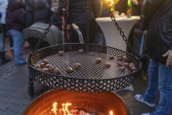 Cosy grilling of chestnuts at a market in the evening, Aidlingen Christmas market, Böblingen