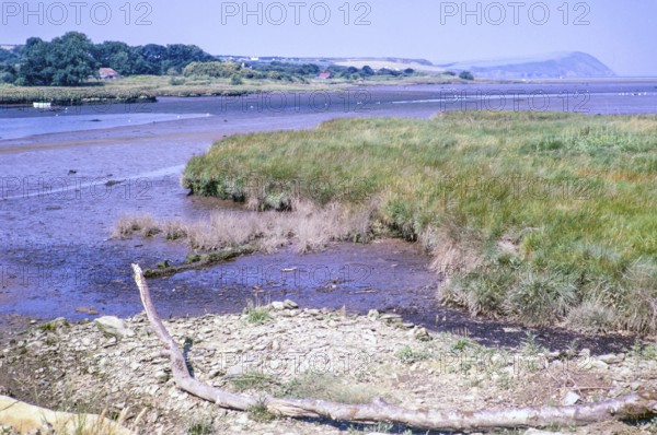 Estuary river mouth of River Nevern at low tide, Parrog, Newport, Pembrokeshire, Wales, UK 5 July