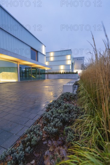 Illuminated, modern building in the evening with glass faÃ§ade and green plants in the foreground,