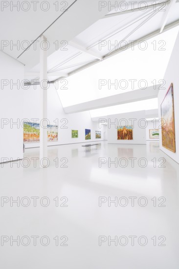 Bright art gallery with various paintings on white walls in modern design, Open Horizons