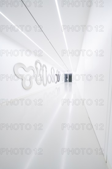 A bright, narrow corridor with artistic wall decorations in modern style, Open Horizons exhibition,