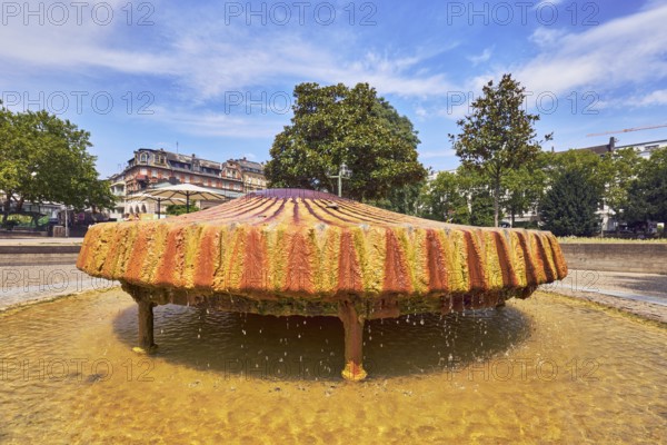 Kochbrunnenspringer thermal spring, mussel shaped, fountain, park, trees, lawn, paths, general