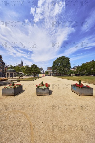 Park, trees, flower pots, plants, lawn, paths, pavilion, general architecture, church tower, blue