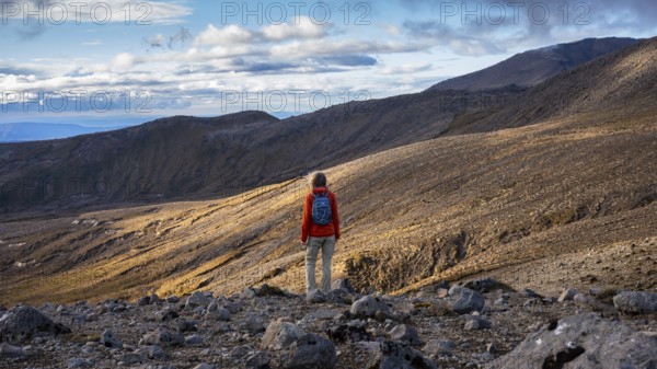 A hiker on the Tama Lake Walk (Tama Lakes Track), evening light, golden hour, Tongariro National