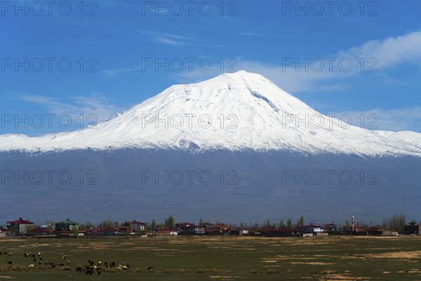 Schneeberg rises majestically behind a picturesque village with clear skies, Great Ararat, BÃ¼yÃ¼k