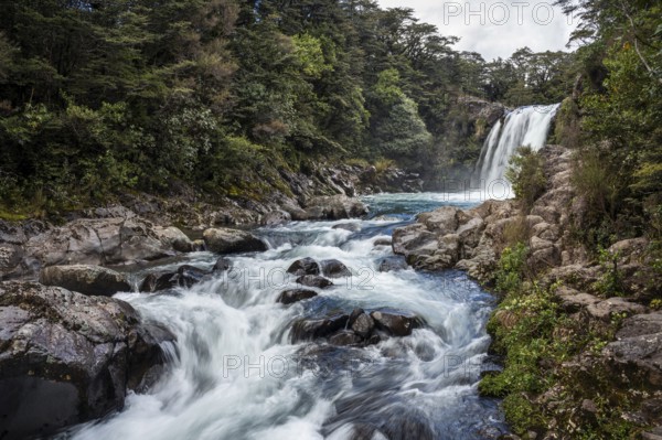 Waterfall Tawhai Falls (Gollum's Pool), location of the film trilogies The Lord of the Rings.