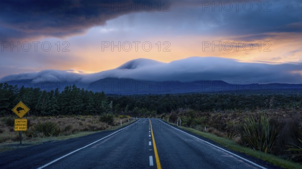 Mount Ngauruhoe in the morning at sunrise with glowing clouds, road SH 47. Tongariro National Park,