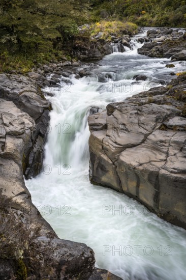 Whakapananui Stream and Mahuia Rapids, river and waterfall. Tongariro National Park, North Island,