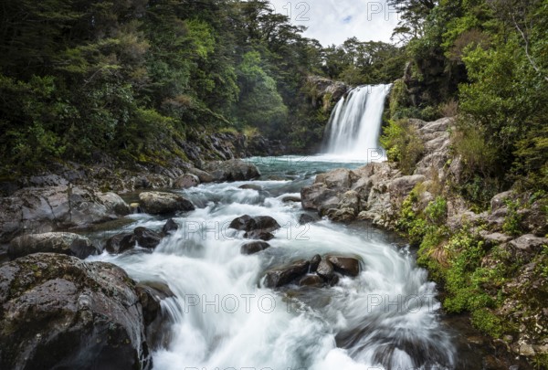 Waterfall Tawhai Falls (Gollum's Pool), location of the film trilogies The Lord of the Rings. Long
