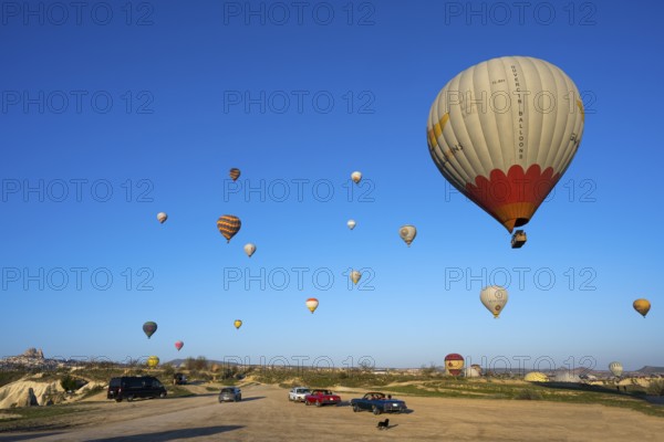 Several balloons float over a vast meadow landscape, with cars on the ground, hot air balloons,