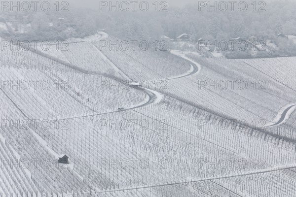 Snowy vineyards in the Stuttgart region in winter. Winter view of the vineyards in Fellbach,