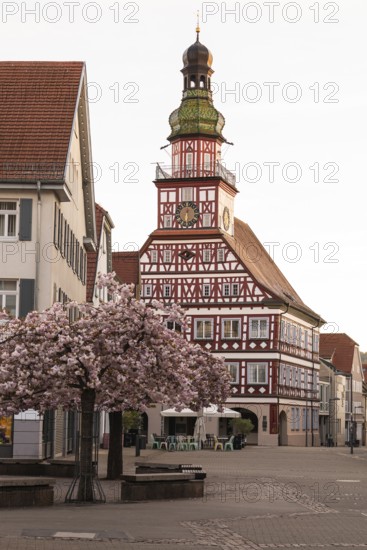 Kirchheim unter Teck, Baden-WÃ¼rttemberg, MarktstraÃŸe with historic half-timbered town hall at