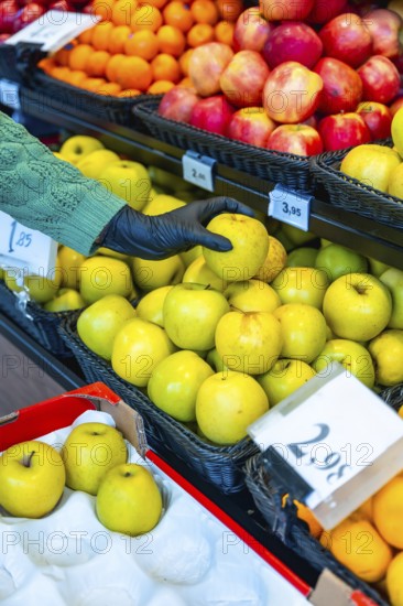 Hand in black protective glove selecting a fresh golden apple from a display of fruits and