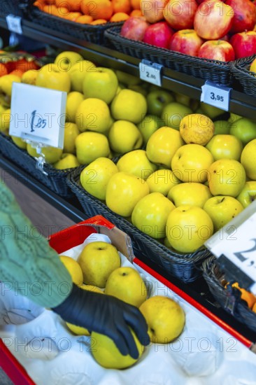 Person wearing a black glove carefully choosing ripe yellow apples from a display case at the fresh