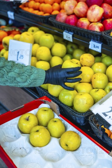 Person's hand, wearing a black protective glove, selecting fresh golden delicious apples from a