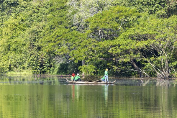 Women harvest seagrass, water channel in Angkor Thom, UNESCO World Heritage Site, Siem Reap,