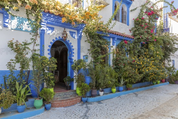 MAR, Chefchaouen, Medina