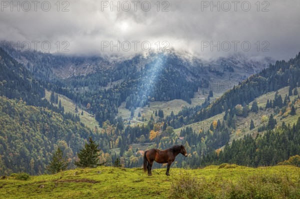 D, Sudelfeld, HDR