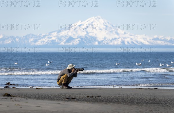 Nature photographer photographs birds on the beach, with white mountain peaks of Mount Redoubt in