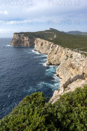 View of steep cliffs by the sea, coastal landscape, cliffs on the Capo Caccia headland, Alghero,