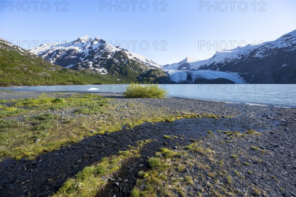 On the shores of Portage Lake, Snowy Mountains and Glaciers Portage Glacier, Chugach National