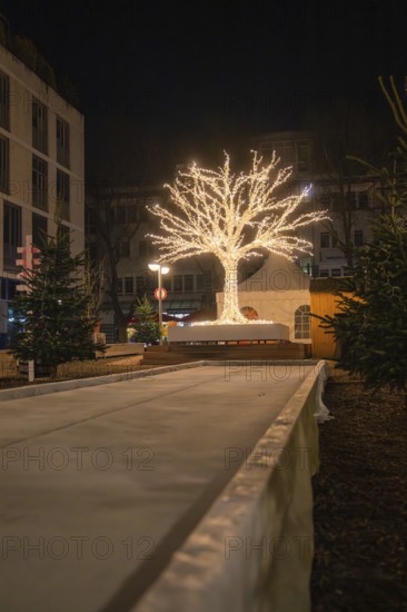 Illuminated tree in an urban environment at night, spreading a festive atmosphere, Sindelfingen,