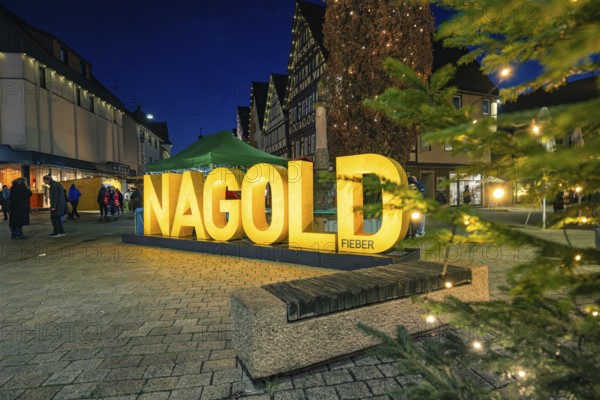 Illuminated Nagold lettering on Christmas market with Christmas tree, Christmas market 2025,