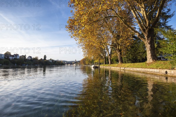 Autumn atmosphere on the banks of the Rhine, Rhine promenade near Schaffhausen, Canton of