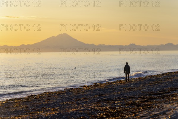 Young man walking along the beach at sunset, view across Cook Inlet to white mountain peaks of
