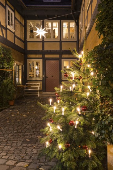 Decorated Christmas tree and Herrnhut star on a half-timbered house in the historic village center