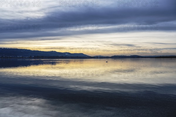 Evening lighting, water reflections, on the lakeside near Radolfzell am Lake Constance, Konstanz