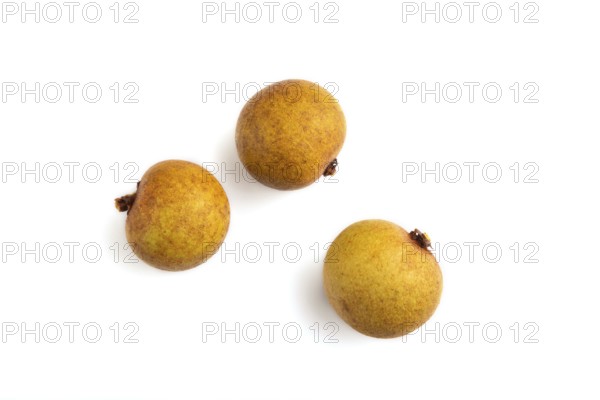 Ripe Longan isolated on white background, Top view, flat lay, close up, minimalism