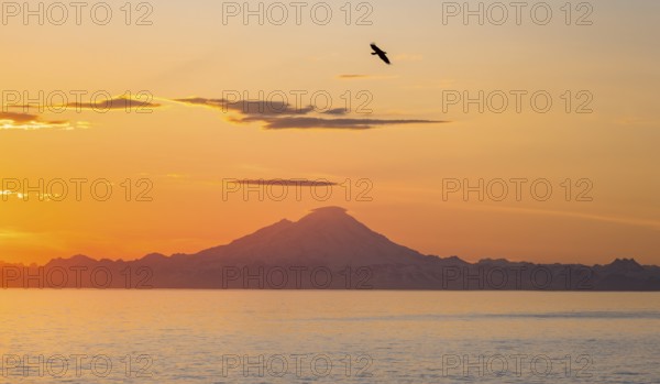 View over Cook Inlet to white mountain peaks of Mount Redoubt, at sunset, picturesque golden light