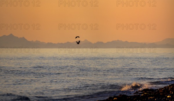 View over Cook Inlet to mountains of the Aleutian chain, at sunset, picturesque golden light of the