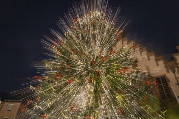 The lights of the Mrs Holle Christmas tree at the Frankfurt Christmas market glow in the evening.