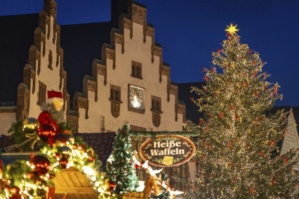 The lights of the Mrs. Holle Christmas tree on the Frankfurt Christmas market glow in the evening,