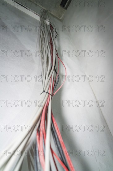 Close-up of cables running side by side along a whitewashed wall, electrician, new building,